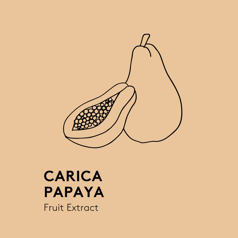 Carica Papaya