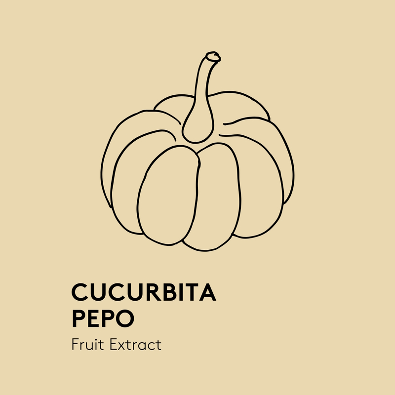 Cucurbita Pepo