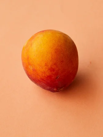 Sun_Kissed_4
