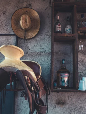 Rodeo_8
