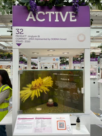 Innovation Zone A IB