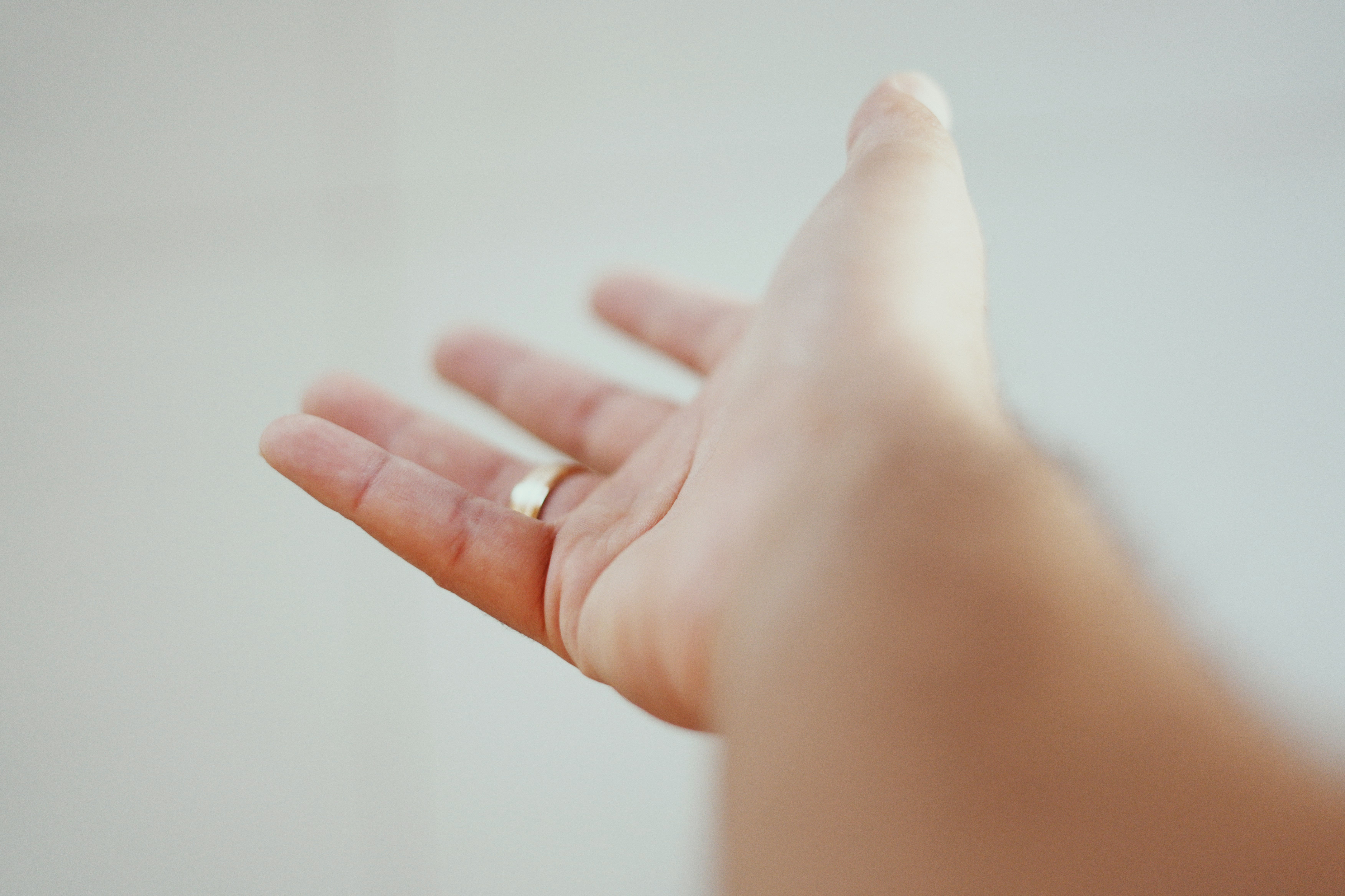 CZ_Customer Portal hand
