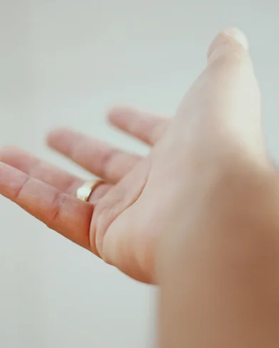 CZ_Customer Portal hand