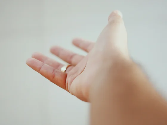 CZ_Customer Portal hand