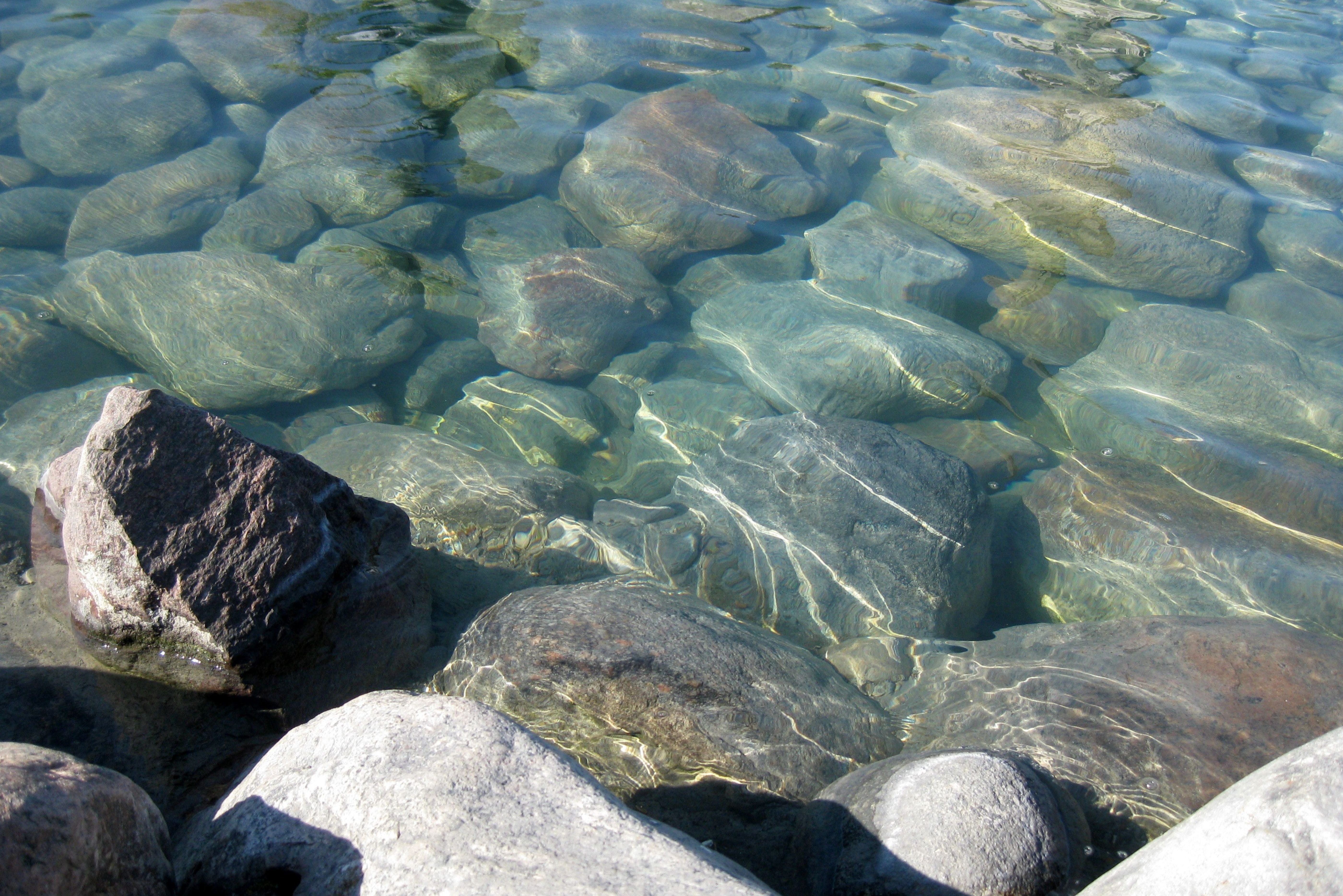 02Pond_Water Treatment.jpg