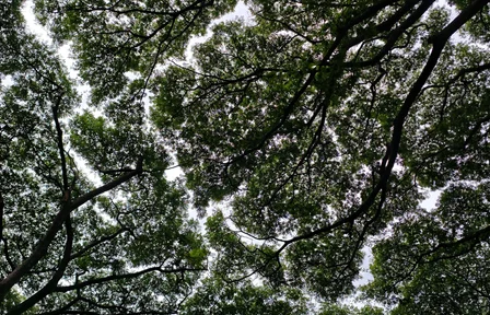 Hero Responsibility