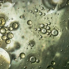 Cacay Oil