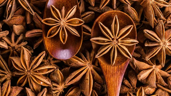 Star Anise.jpg