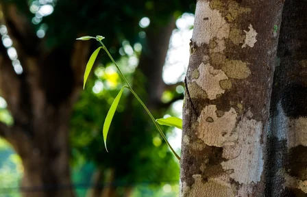 header_1 (1).jpg