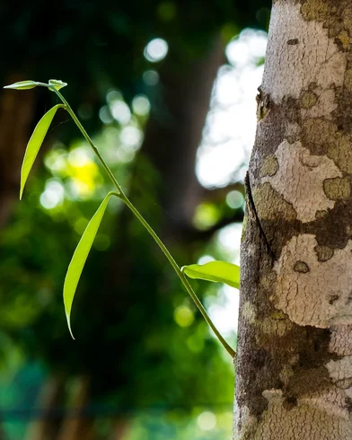 header_1 (1).jpg