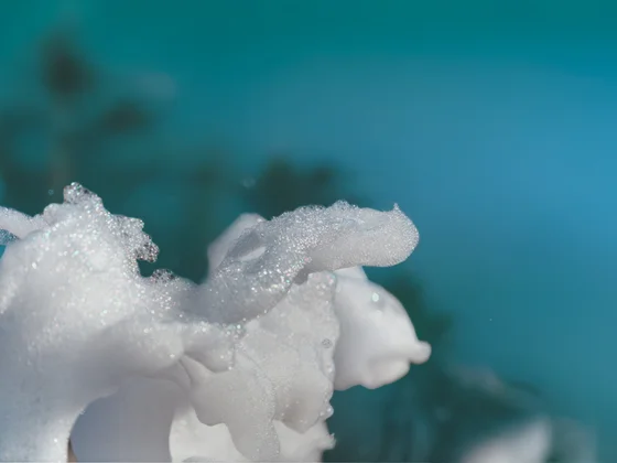 Q-FOAM Description