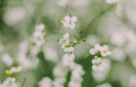 header_1.jpg