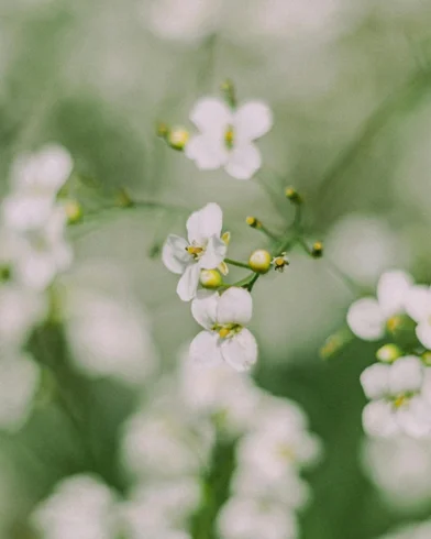 header_1.jpg