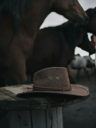 Rodeo_3