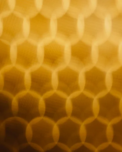 Advanced intermediates_Chemical industry