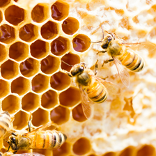KK_natural_beeswax_5_.png