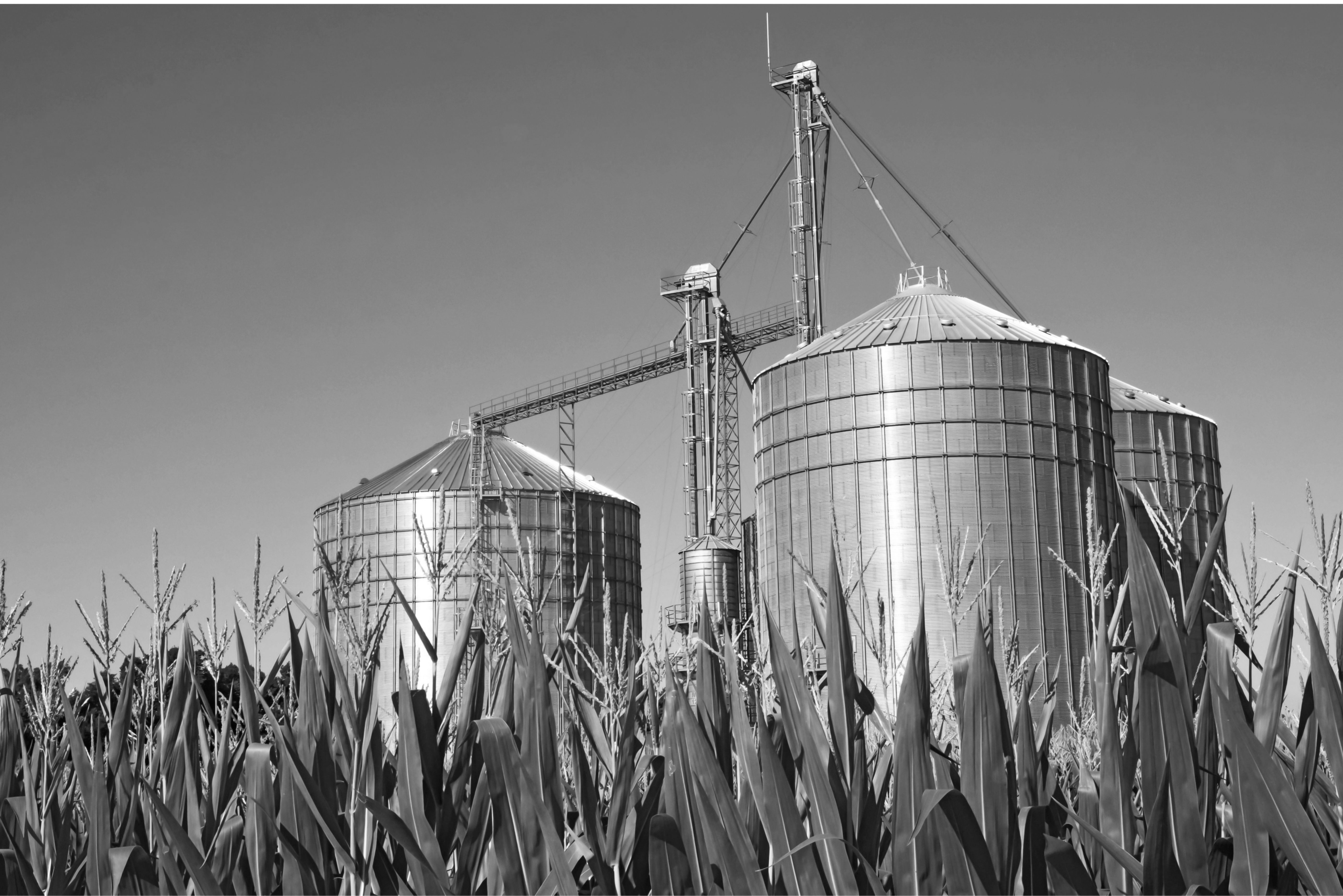 Silos_Animal Food.jpg