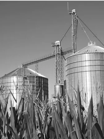 Silos_Animal Food.jpg