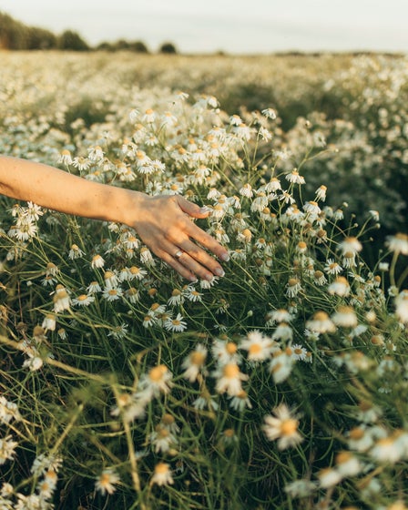 Alice Hopkins