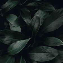 Sustainability portfolio.jpg
