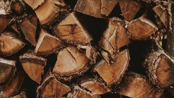 Black Spruce.jpg