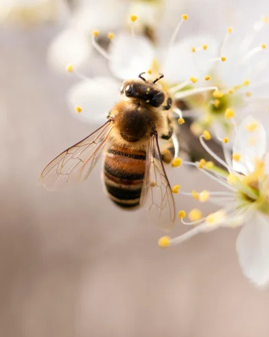 KK_header_1.jpg