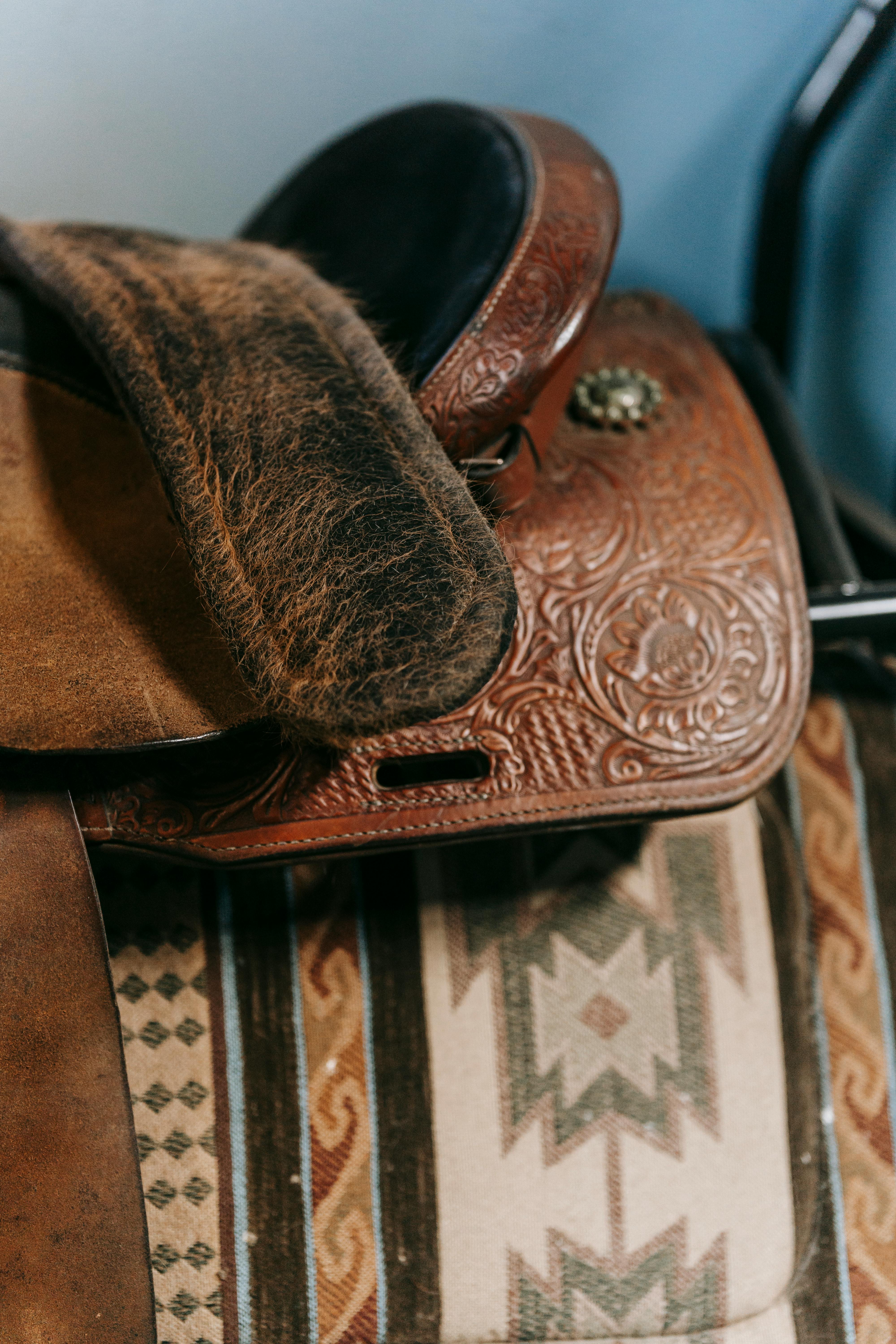 Rodeo_1