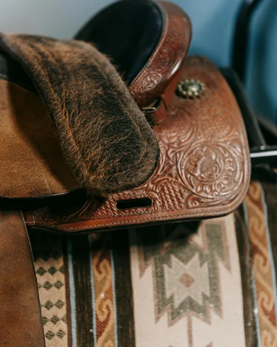 Rodeo_1