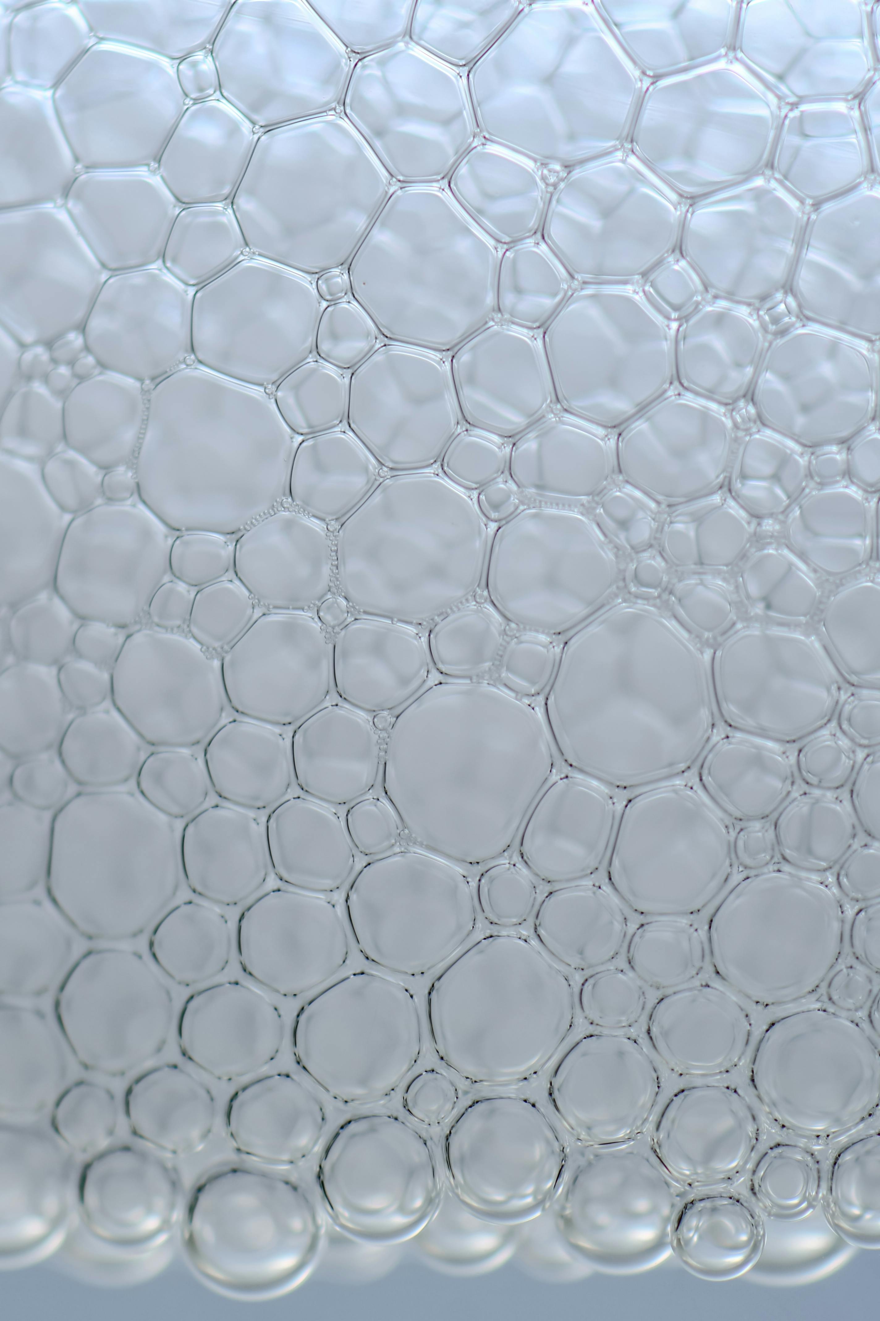Bubbles_Home Care.jpg