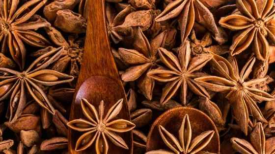 Star Anise.jpg