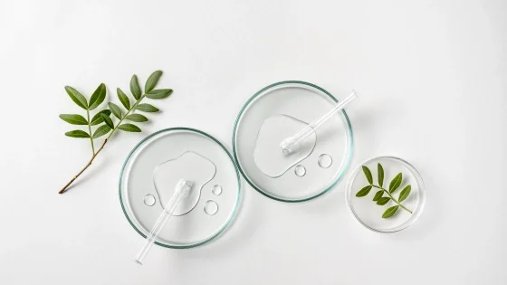 Berg+Schmidt_BergaCare