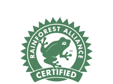 Rainforest_logo_Arlés