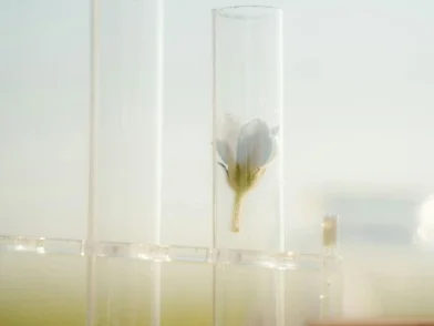 Technical services_Personal Care_Hero.jpg