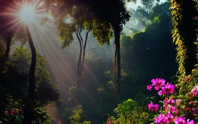 LIFTALIZE_Personal Care