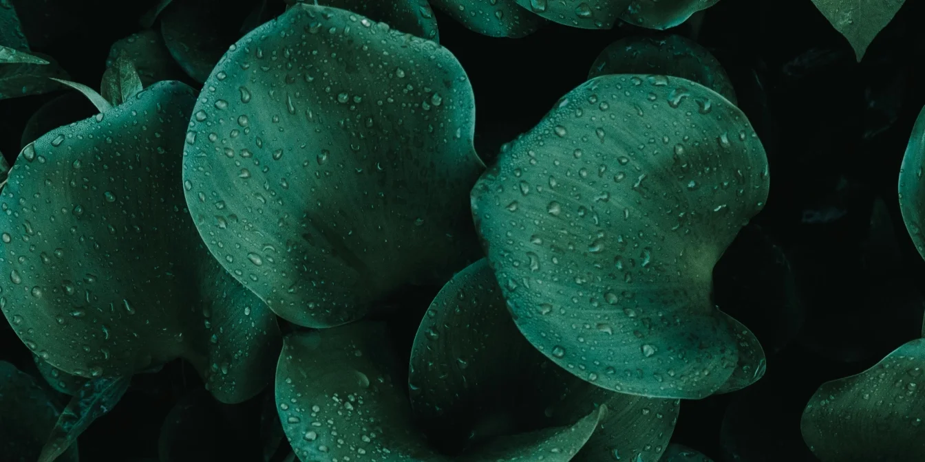 Hero_Start Page_Group.jpg