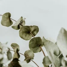 Essential Oils_Hero2