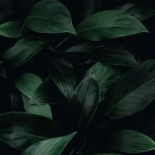 Sustainability portfolio.jpg