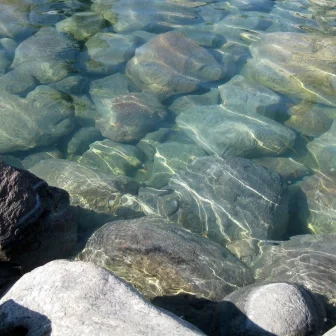 02Pond_Water Treatment.jpg