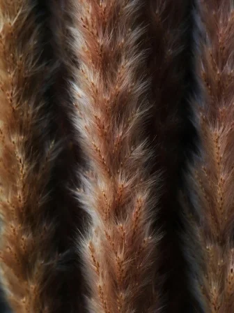 1_Agriculture hero.jpg