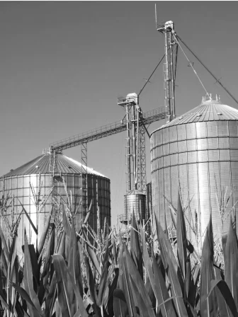 Silos_Animal Food.jpg