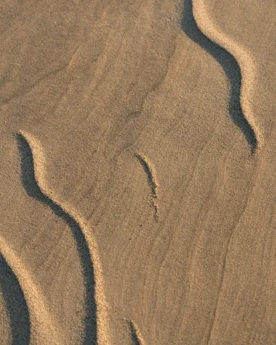 Aerosil by Evonik_CASE