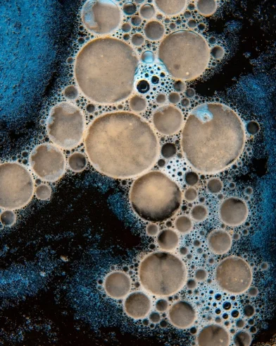 Label-free reaction diluent_CASE