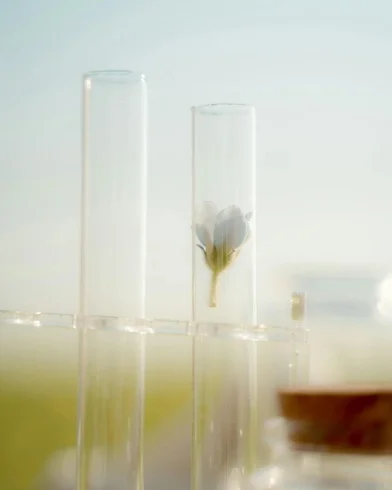 Technical services_Personal Care_Hero.jpg