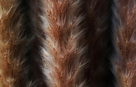 1_Agriculture hero.jpg