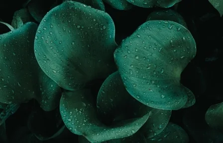 Hero_Start Page_Group.jpg