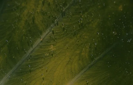 Sustainable actions-Hero.jpg