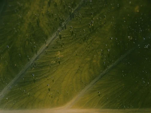 Sustainable actions-Hero.jpg