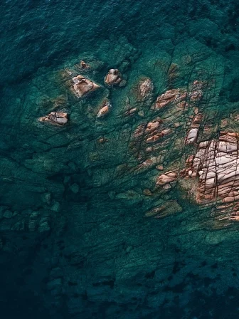 Vision and Values_Hero.jpg