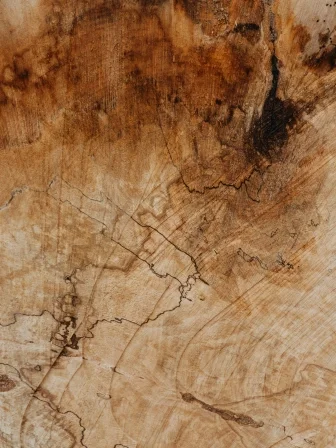 marina-reich-HYZLZYJfkIk-unsplash (1).jpg