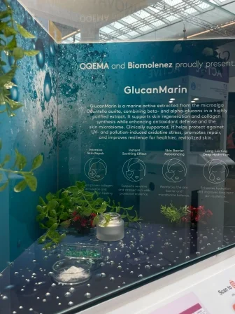 Innovation Zone - GlucanMarin